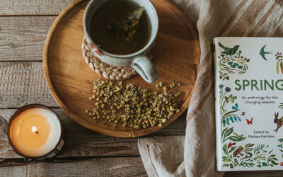 March Seasonal Living List: Embracing the Change