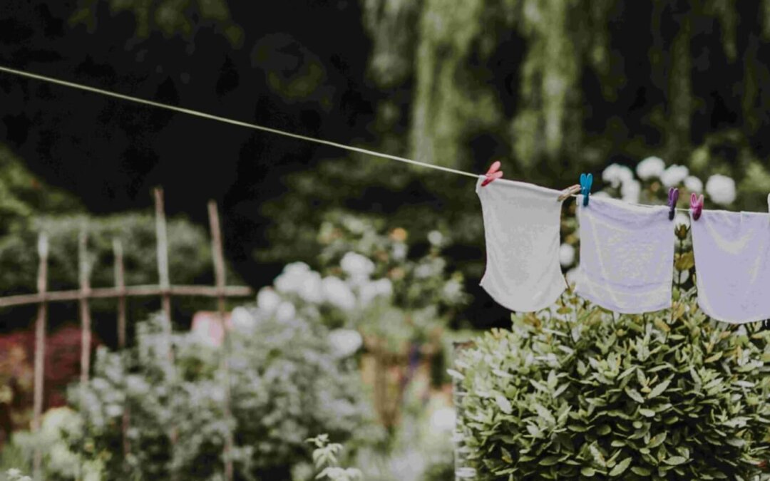 April Seasonal Living List : Opening Up