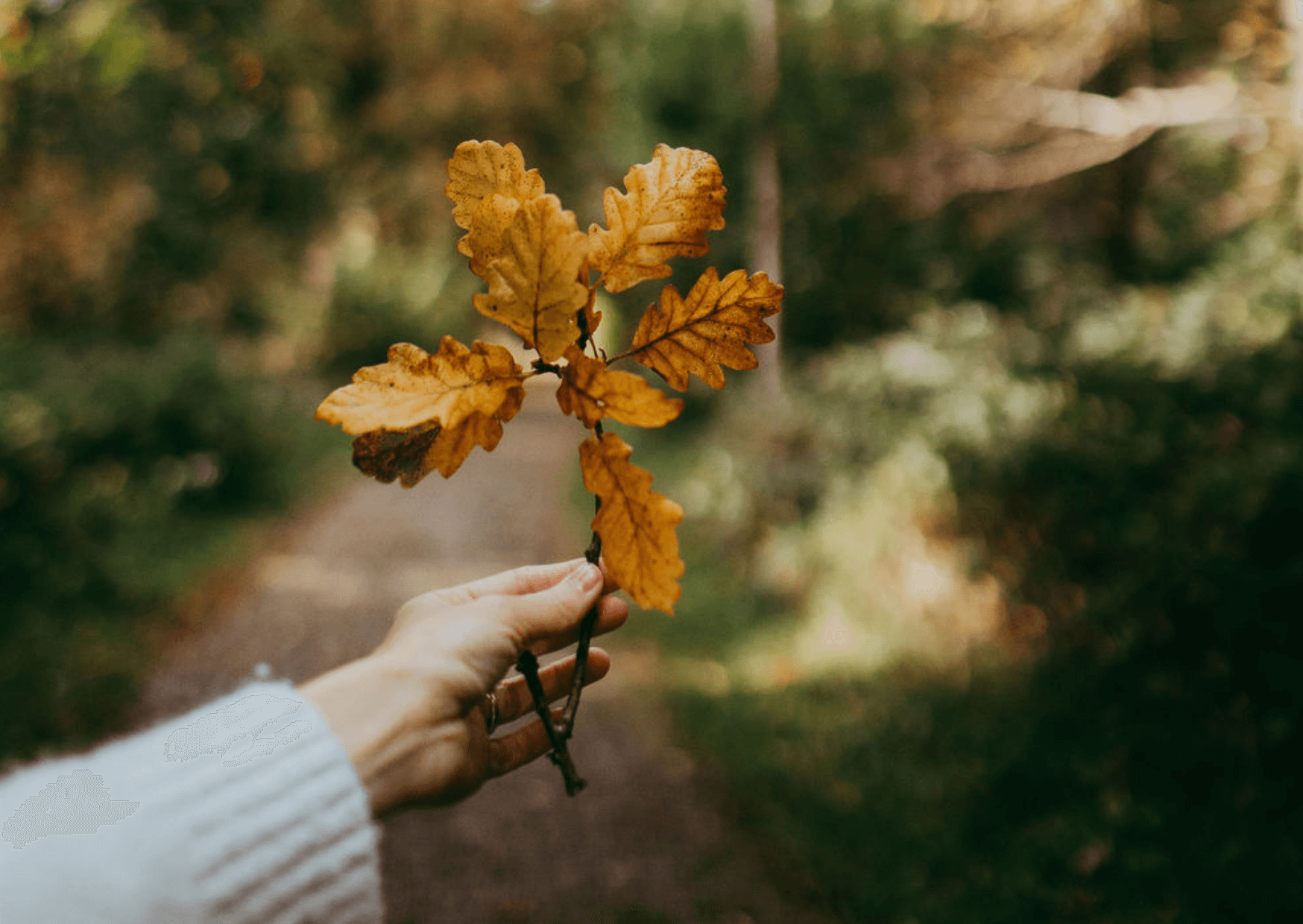 Woman holding a cup of hot coffee in winter