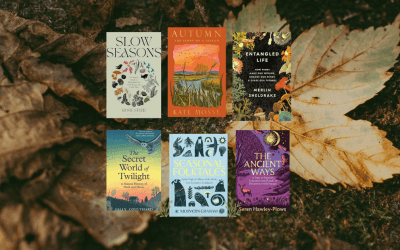 Nature & Folklore Non-Fiction: An Autumn Reading List
